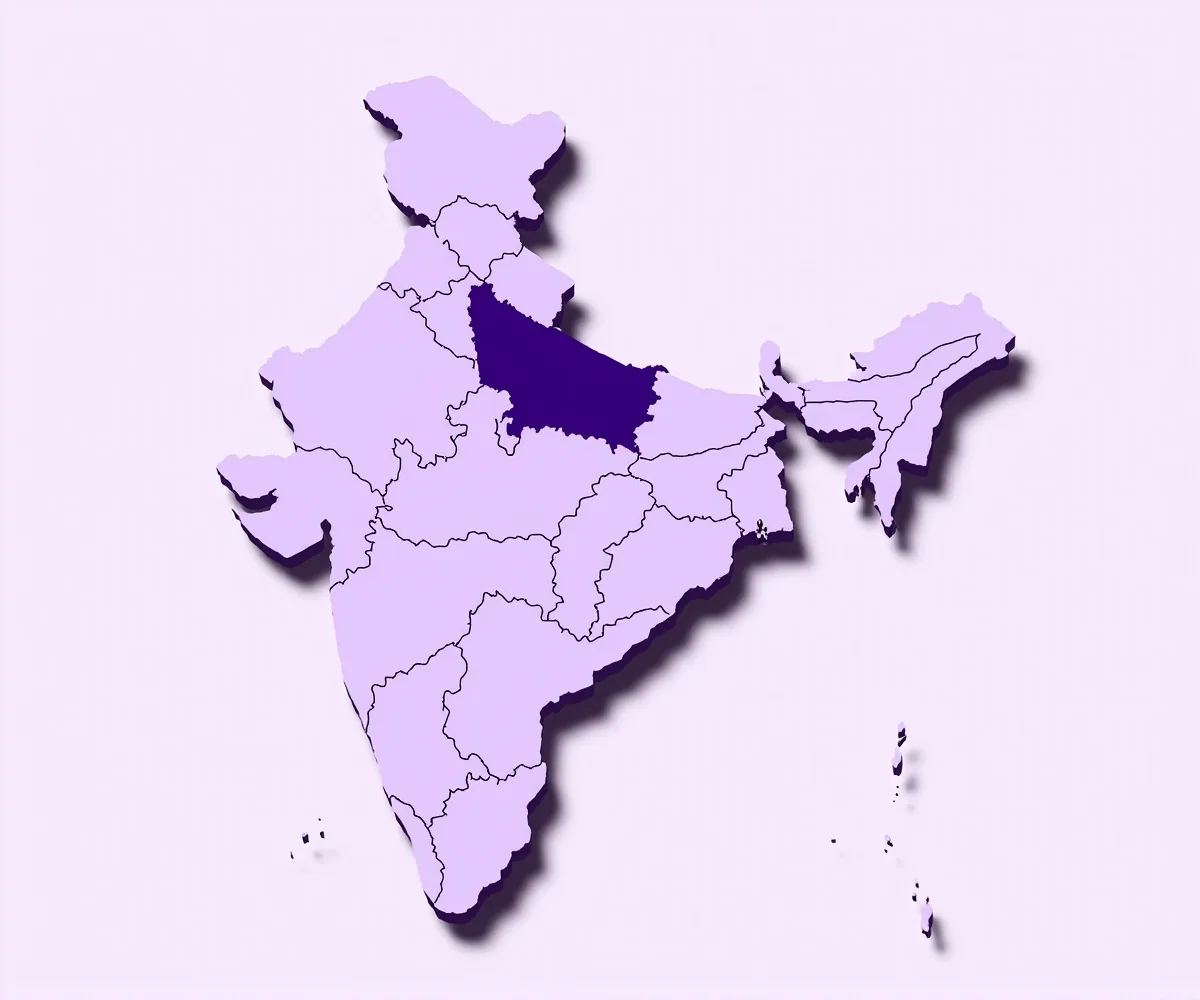 Simplified flat isometric illustration of India map outline with each state as a slightly different tonal lilac tile and three states highlighted in deep violet to show where paid fantasy cricket is permitted